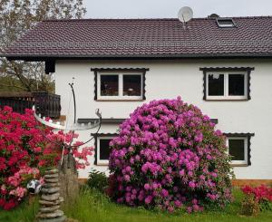 Uma casa branca com flores cor-de-rosa à frente. em Ferienwohnung Eva em Grebenhain