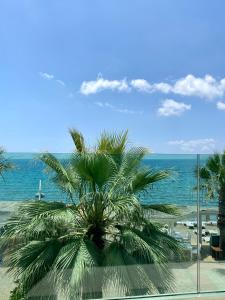 a palm tree sitting on top of a beach at Zest Exclusive Hotel & Spa in Ortakent