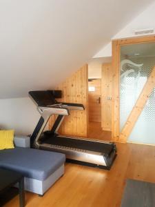 Fitness centrum a/nebo fitness zařízení v ubytování Restaurace a penzion Pod Lipami Metylovice