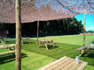 A garden outside La Masia