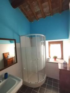 a bathroom with a shower and a tub and a mirror at B&B Paternocchio in Montefiascone