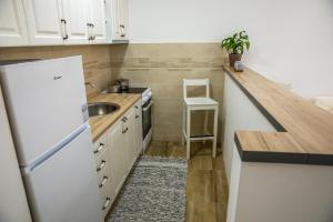 Kuchyň nebo kuchyňský kout v ubytování Apartman Ana + 5 fotografií