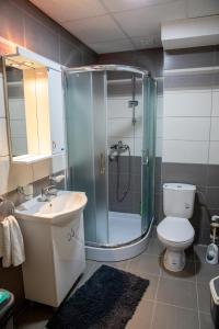 Koupelna v ubytování Apartman Ana