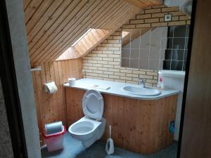 a bathroom with a toilet and a sink at Ferienwohnung Felsblick in Mittelndorf