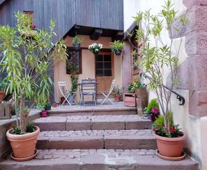 un escalier avec des plantes en pot devant une maison dans l'établissement chez Coco, à Riquewihr