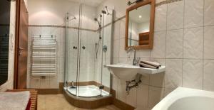 a bathroom with a sink and a shower at Apartment Venediger in Neukirchen am Großvenediger +8 photos