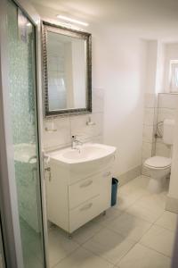 a bathroom with a sink and a shower and a toilet at pensiunea vanesa in Baile Felix +25 photos