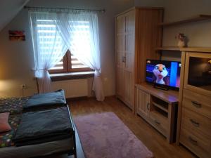 1 dormitorio con TV, 1 cama y ventana en Apartament nad zalewem przy plaży, en Jedlnia-Letnisko