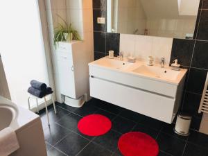 a bathroom with a white sink and a red rug at Family house in Bled region in Radovljica