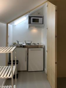 uma pequena cozinha com um lavatório e um micro-ondas em Ambiance bois - 2 appartements em Vannes