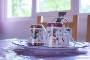 Afbeelding uit fotogalerij van pensiunea vanesa in Baile Felix