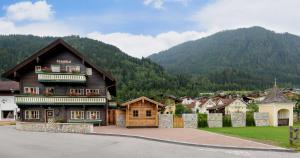a small village with a mountain in the background at Haus Ennsblick in Flachau