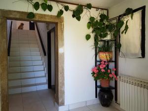 Fotografie z fotogalerie ubytování Apartment Melanie v destinaci Skrbčići