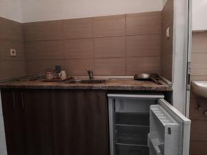 Kuchyň nebo kuchyňský kout v ubytování Aktaion Hotel
