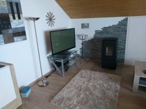 a living room with a flat screen tv and a fireplace at Schanzenblick in Winterberg
