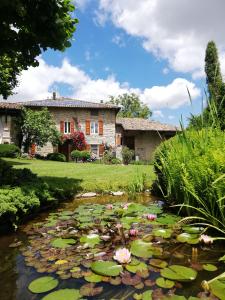 una casa y un estanque con lirios en Natura e Arte en Pavullo nel Frignano