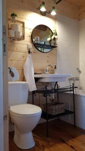 een badkamer met een toilet, een wastafel en een spiegel bij Nature house with amazing view in Petrinja