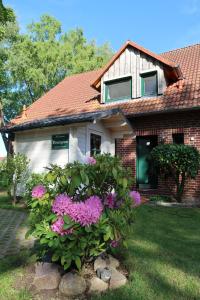 una casa con flores rosas delante de ella en Ferienhaus Blomengoorn, en Boltenhagen
