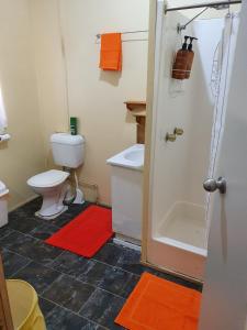 a bathroom with a toilet and a sink and a shower at Golden Mt Rest on James in Mount Morgan