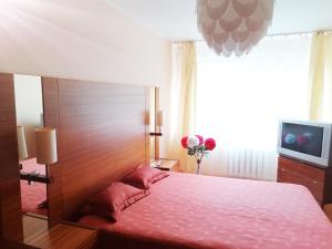 ein Schlafzimmer mit einem rosa Bett und einem TV in der Unterkunft Amber apartamentai in Druskininkai