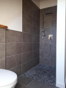 bagno con doccia e servizi igienici di Ferienwohnung Geyer a Rennertshofen