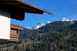 ブルック・アン・デア・グロースグロックナーシュトラーセにあるLandhaus Bergner Almの雪山の景色