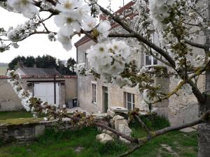 un albero con fiori bianchi di fronte a una casa di LE RELAIS a Révillon
