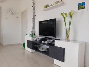 TV a/nebo společenská místnost v ubytování Apartment Mia