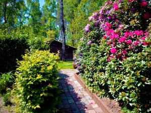 einen Garten mit rosa Blumen und einem Ziegelweg in der Unterkunft De Drie Beuken in 't Harde