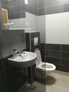 a bathroom with a sink and a toilet at House Nada in Rastovača