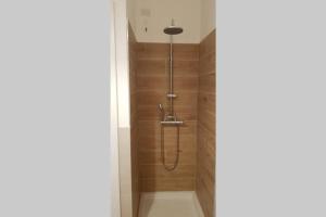 W łazience znajduje się prysznic z głowicą prysznicową. w obiekcie The House of the River (Studio) w mieście Villa d'Adda