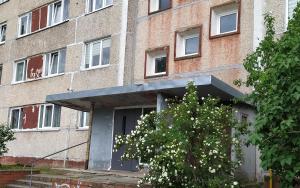 a building with a tree in front of it at Rojas street apartments in Liepāja