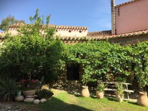 un jardin en face d'une maison ornée de plantes dans l'établissement Il Portico Guesthouse, à Muravera