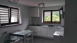 a kitchen with a table and a sink and two windows at Apartament u Makosi in Bystrzyca Kłodzka