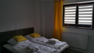 two twin beds in a room with a window at Apartament u Makosi in Bystrzyca Kłodzka
