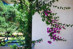 A garden outside Medousa Studio & Apartments
