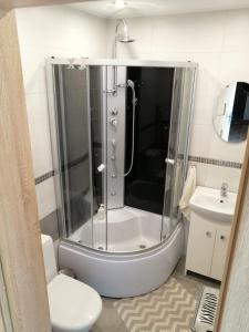 W łazience znajduje się prysznic, toaleta i umywalka. w obiekcie Apartament Na Skarpie Czarna Wieś w Rajgrodzie