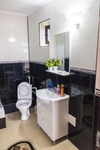 a bathroom with a white toilet and a sink at Vila Rico in Tulcea