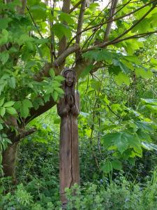 een standbeeld van een persoon die onder een boom staat bij Finca Vrij in Scharendijke