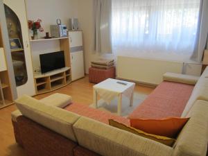 a living room with a couch and a table at Apartman TIM in Osijek