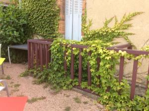 Ein mit grünem Efeu bedeckter Zaun neben einem Gebäude in der Unterkunft L'appart de Clea in Montluçon