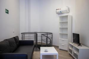 マドリードにあるL&G Madrid Apartmentsのソファとベッドのあるリビングルーム