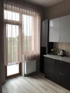 eine Küche mit einem großen Fenster und einer Küchentheke in der Unterkunft Новострой клубного типа р-н Аркадии, 7я фонтана. in Odessa