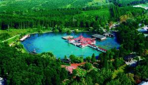 an aerial view of a lake with a house at Apartman Hévíz Holiday in Hévíz