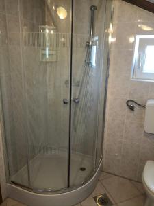 y baño con ducha y puerta de cristal. en Sepic Apartments, en Opatija