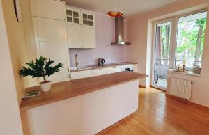 a kitchen with white cabinets and a potted plant at Julia apartments next to AQUA PARK in Druskininkai