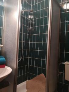 
a bathroom with a shower stall and a toilet at Haus Franziska in Leck
