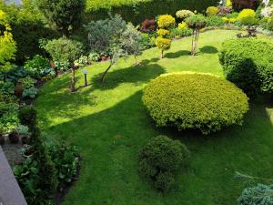 an overhead view of a garden with bushes and trees at Apartamenty i pokoje u Beaty in Augustów