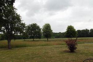 um campo de relva com árvores ao fundo em Ferienwohnung Wiesenblick em Burg