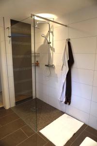 uma casa de banho com um chuveiro e uma porta de vidro em Tier- & kinderfreundliches Ferienhaus - KEINE MONTEURE em Priesendorf